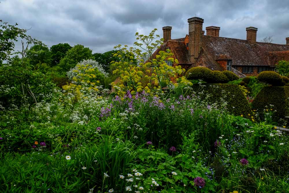 Great dixter House with giant fennel in the foreground