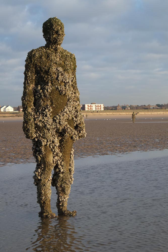 A cast iron statue covered in barnacles and standing on a beach at low tide