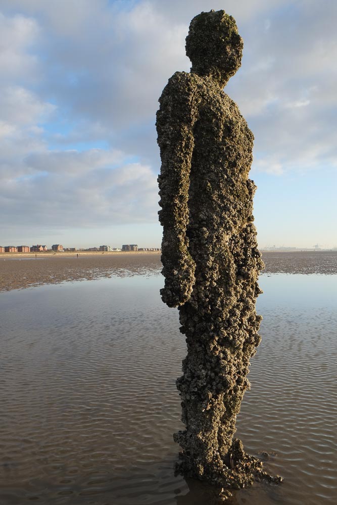A cast iron statue covered in barnacles and standing in shallow water on a beach at low tide
