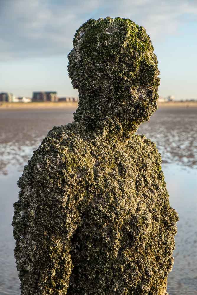 The top half of a cast iron statue covered in barnacles