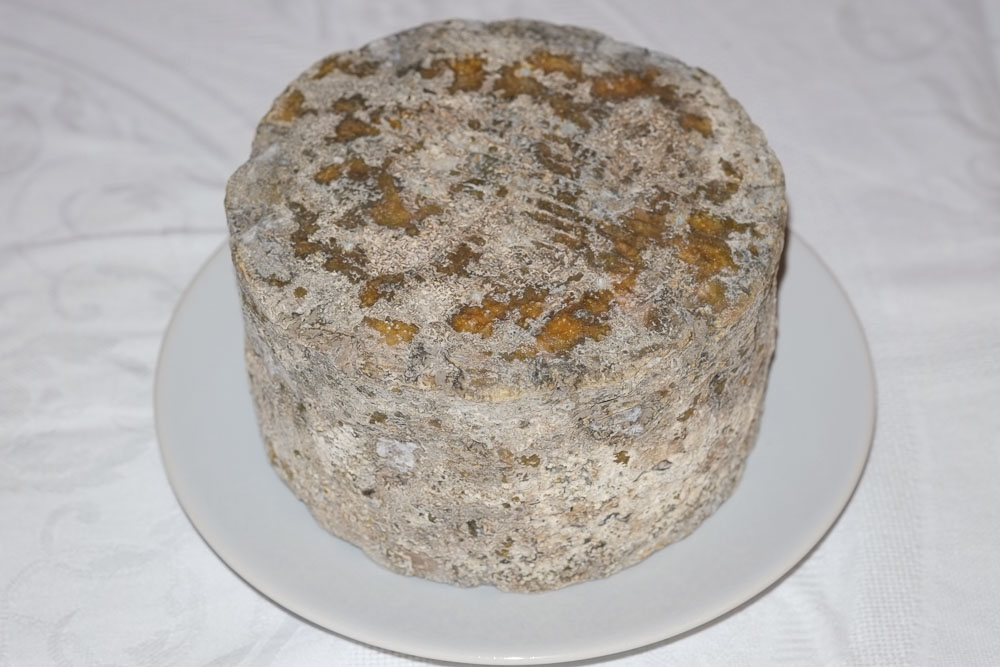 A whole blue cheese showing grey mold on the outside