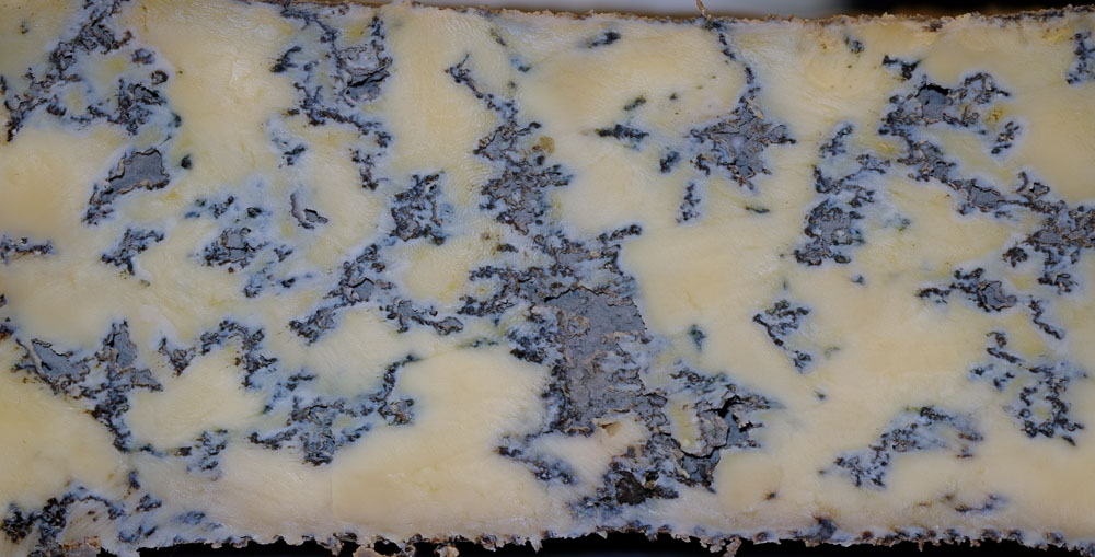 A blue cheese cut in half to reveal the blue marbling of mould inside.