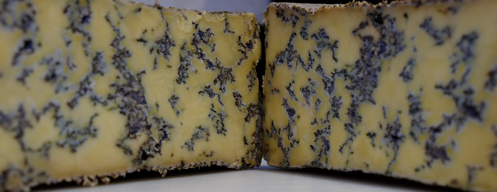 A blue cheese cut in half to reveal the blue marbling of mould inside.