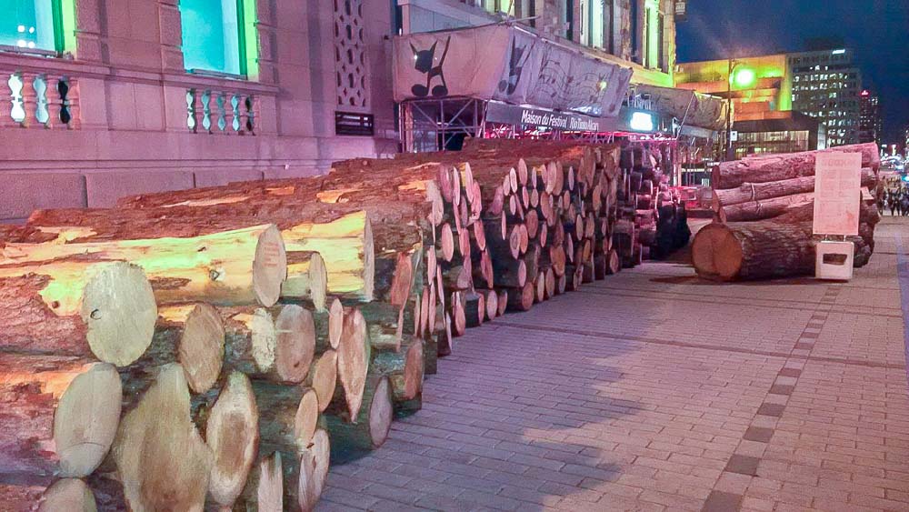 Large cut logs in a city street as an art installation.