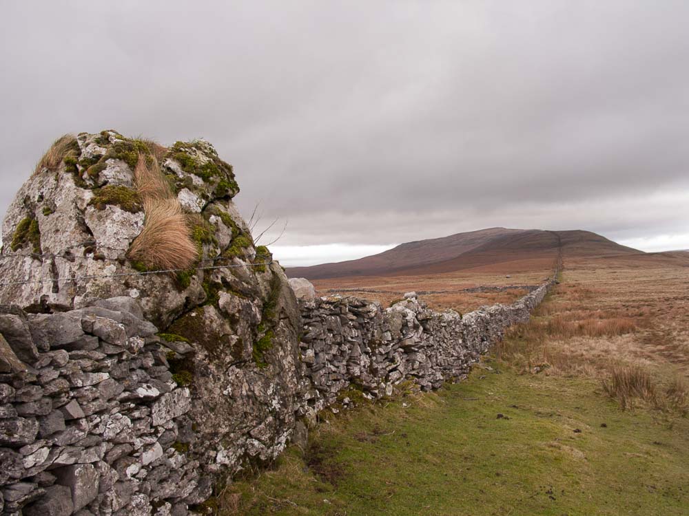 A large boulder is incorporated into a drystone wall leading off into the distance up Whernside hill