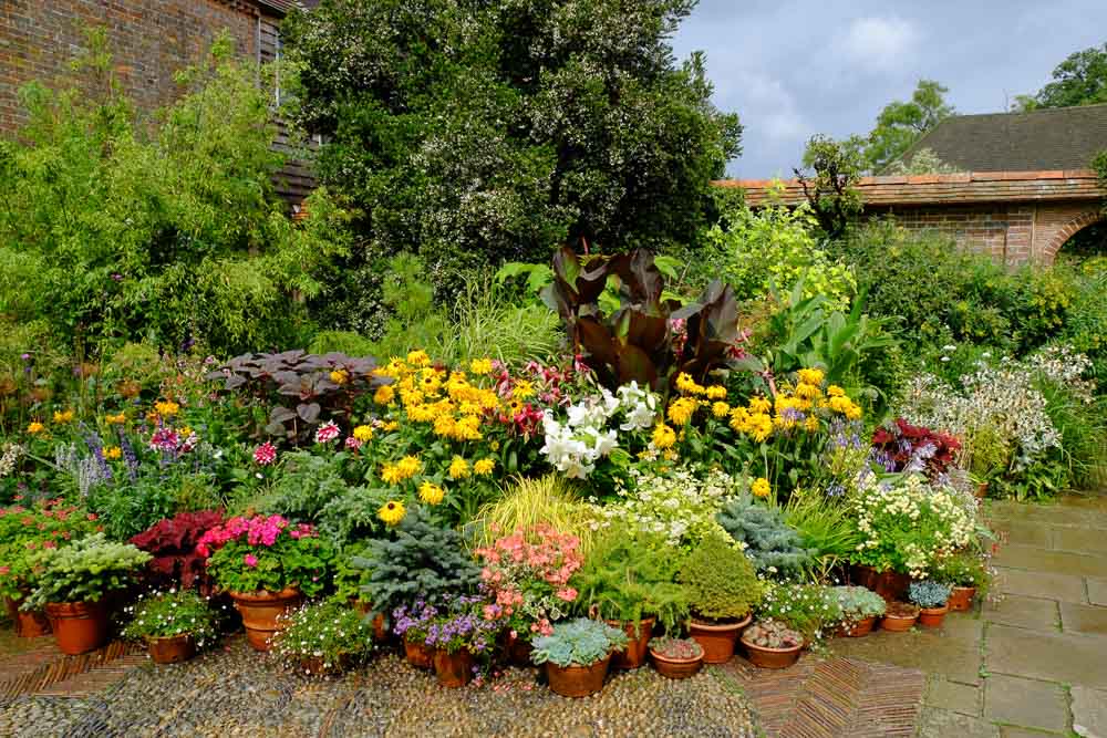 Multi coloured flowers in pots on a cobble and slab stone patio. Trees and building sin the background.
