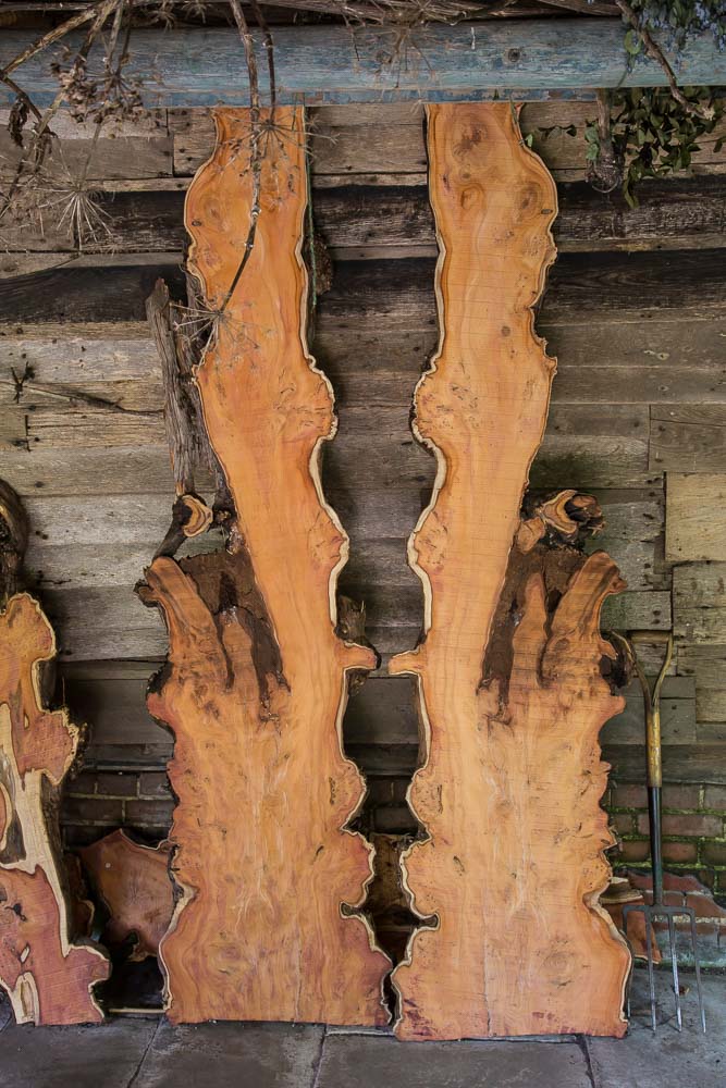 Two sections of tree cut longitudinally from a single tree and stood upright side by side. A garden fork stands next to the planks and is about half their height.