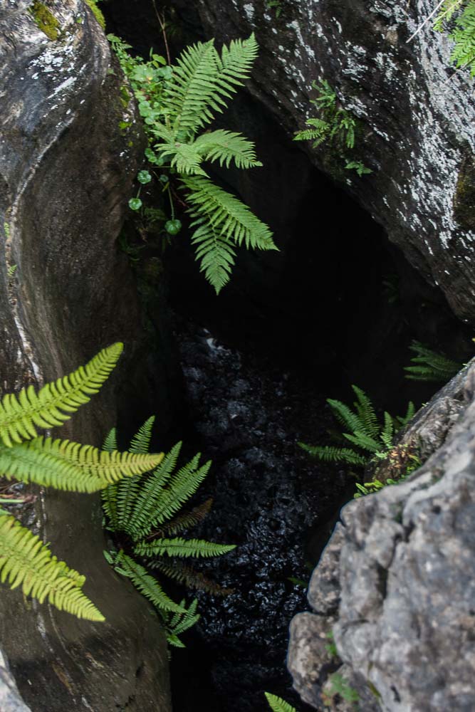 Looking down a pothole shaft with a stream visible at the bottom 18 metres below, ferns growing from the sides