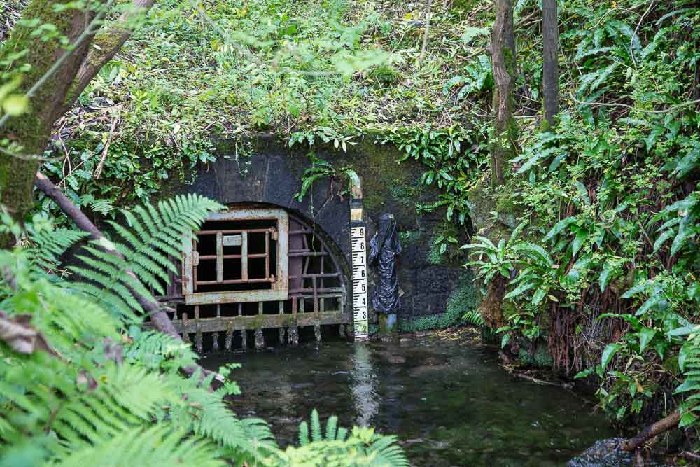 A stream flowing from a tunnel which is blocked by a metal grill. A water depth gauge is also visible.