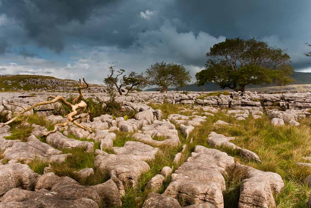 A limestone pavement with trees and heavy grey clouds in the distance