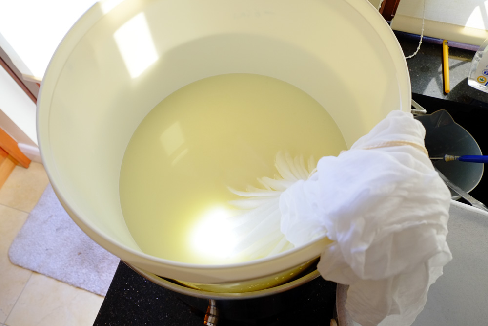 White plastic bucket containing whey with the curds held inside a piece of white cheese cloth.