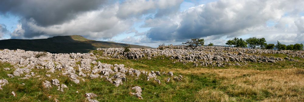 Whernside hill in the distance with limestone rocks and grassy moor in the foreground
