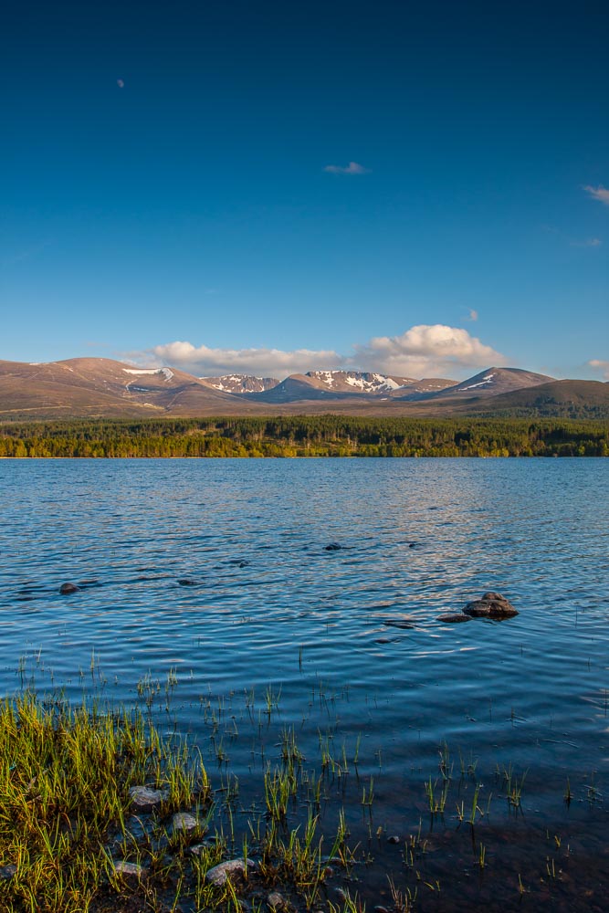 A lake with rocks and grass in the foreground and forest and mountains in the distance