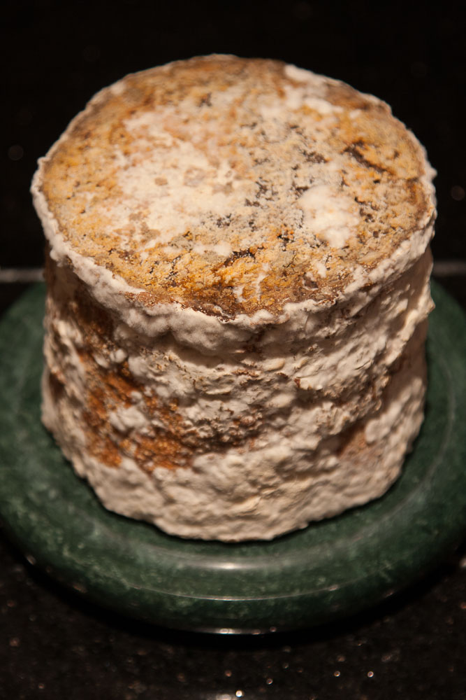 A whole, very mouldy cheese on a green platter